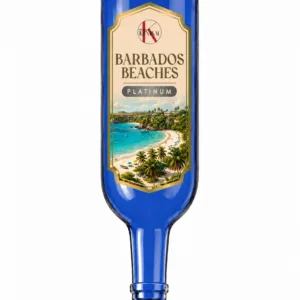 BARBADOS BEACHES